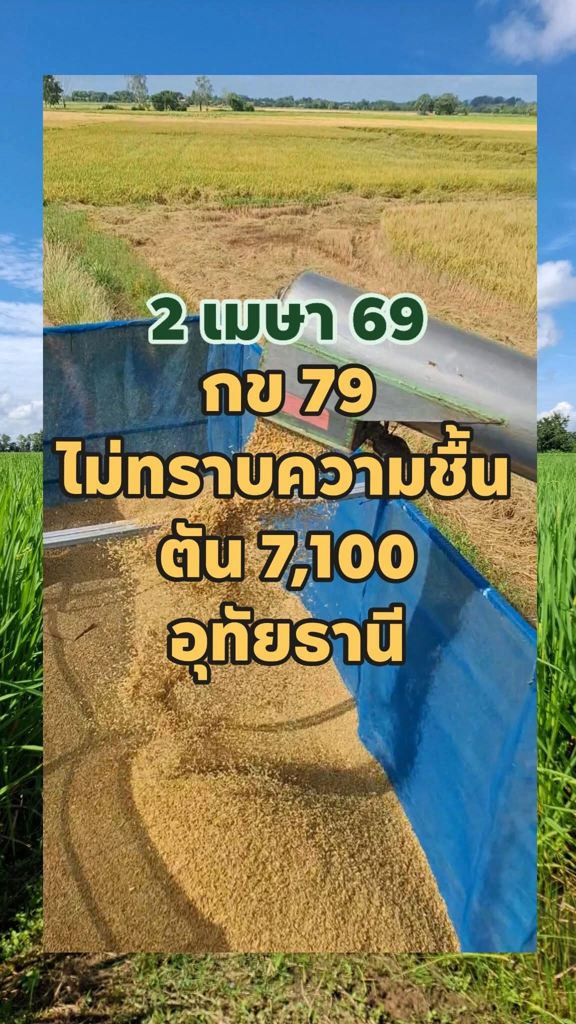กข 79