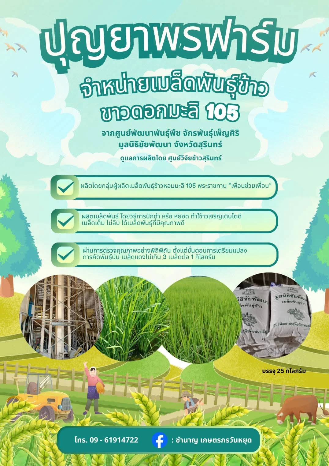 ข้าวพันธุ์ดอกมะลิ 105