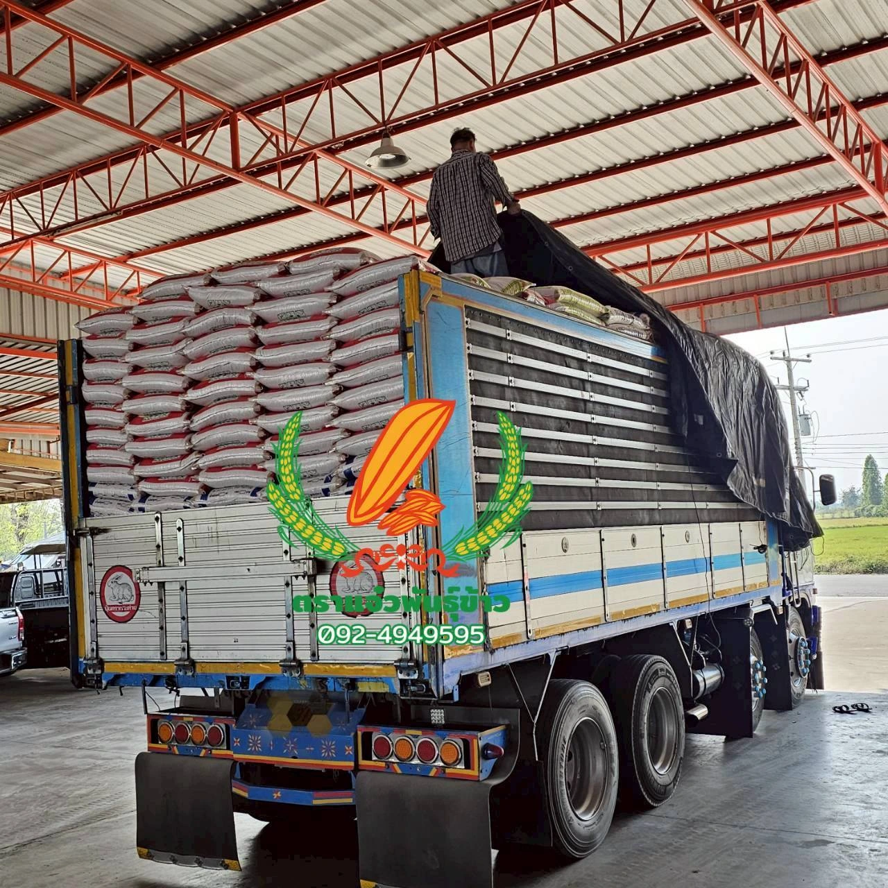 ร้านแจ๋วพันธุ์ข้าว  ยินดีให้บริการจ้า🥰🥰 3