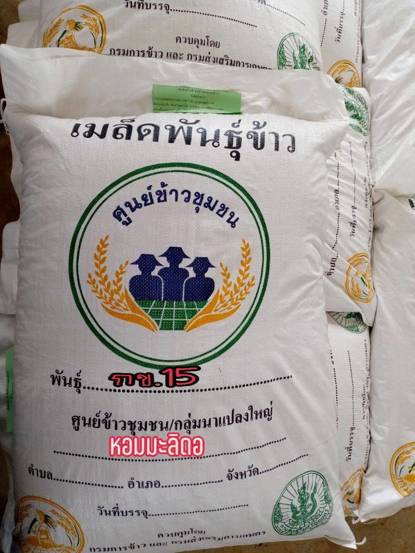 🌾#กข15 (หอมมะลิดอ)ข้าวเจ้านาปี