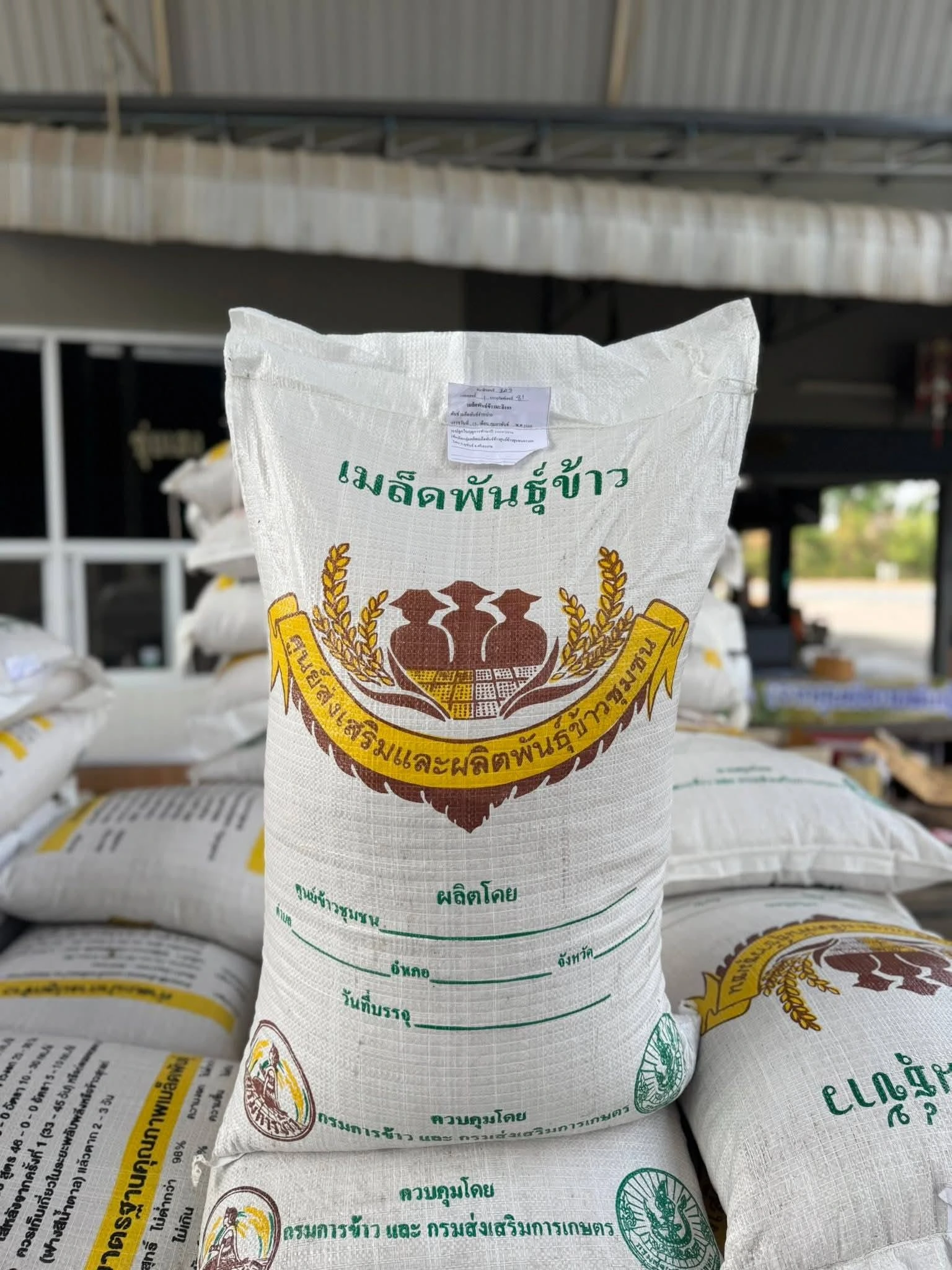 ข้าวพันธุ์มะลิ 105 (จาก  ศรีสะเกษ)