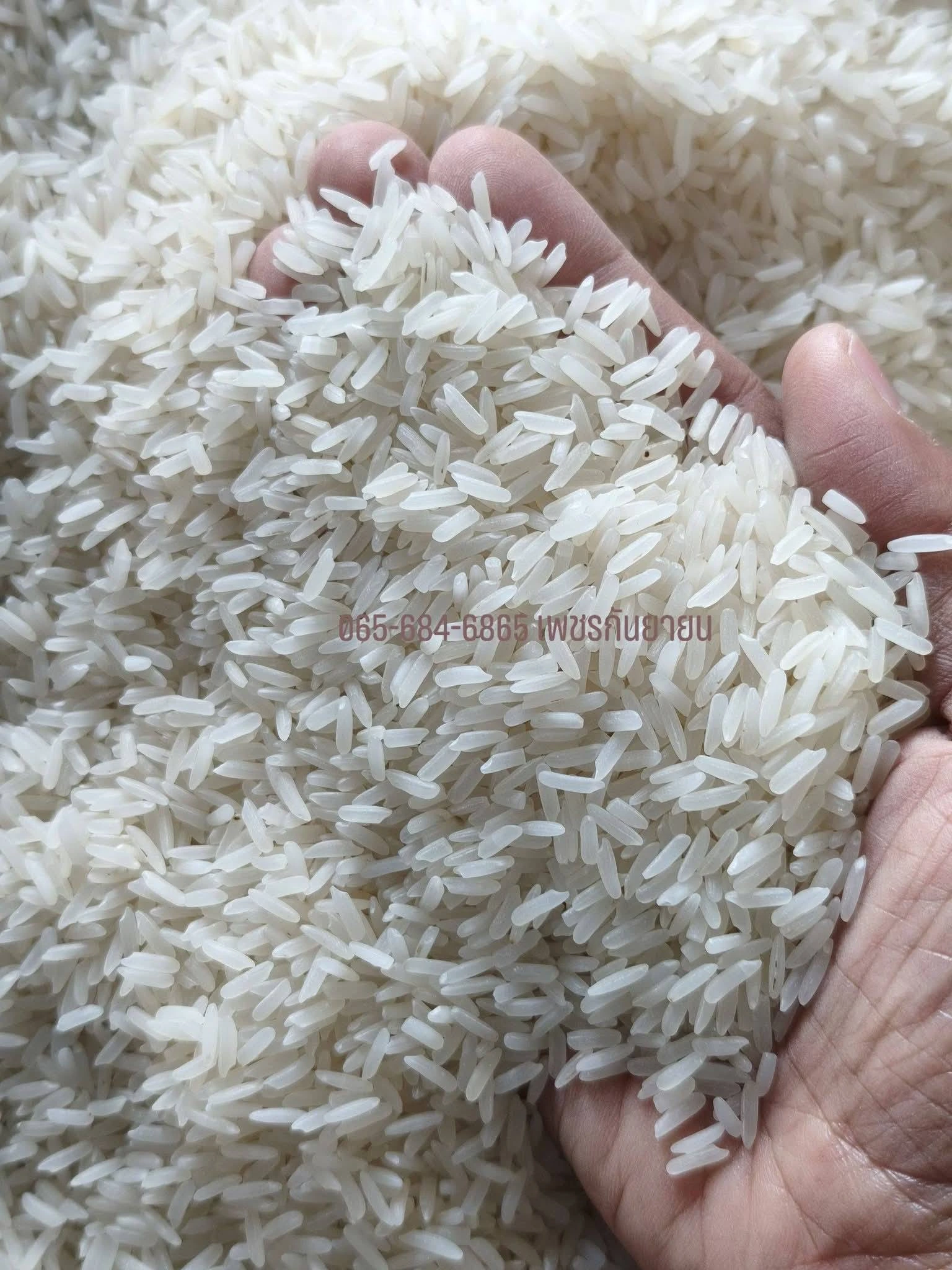 #ข้าวกข79 พื้นนุ่ม 5