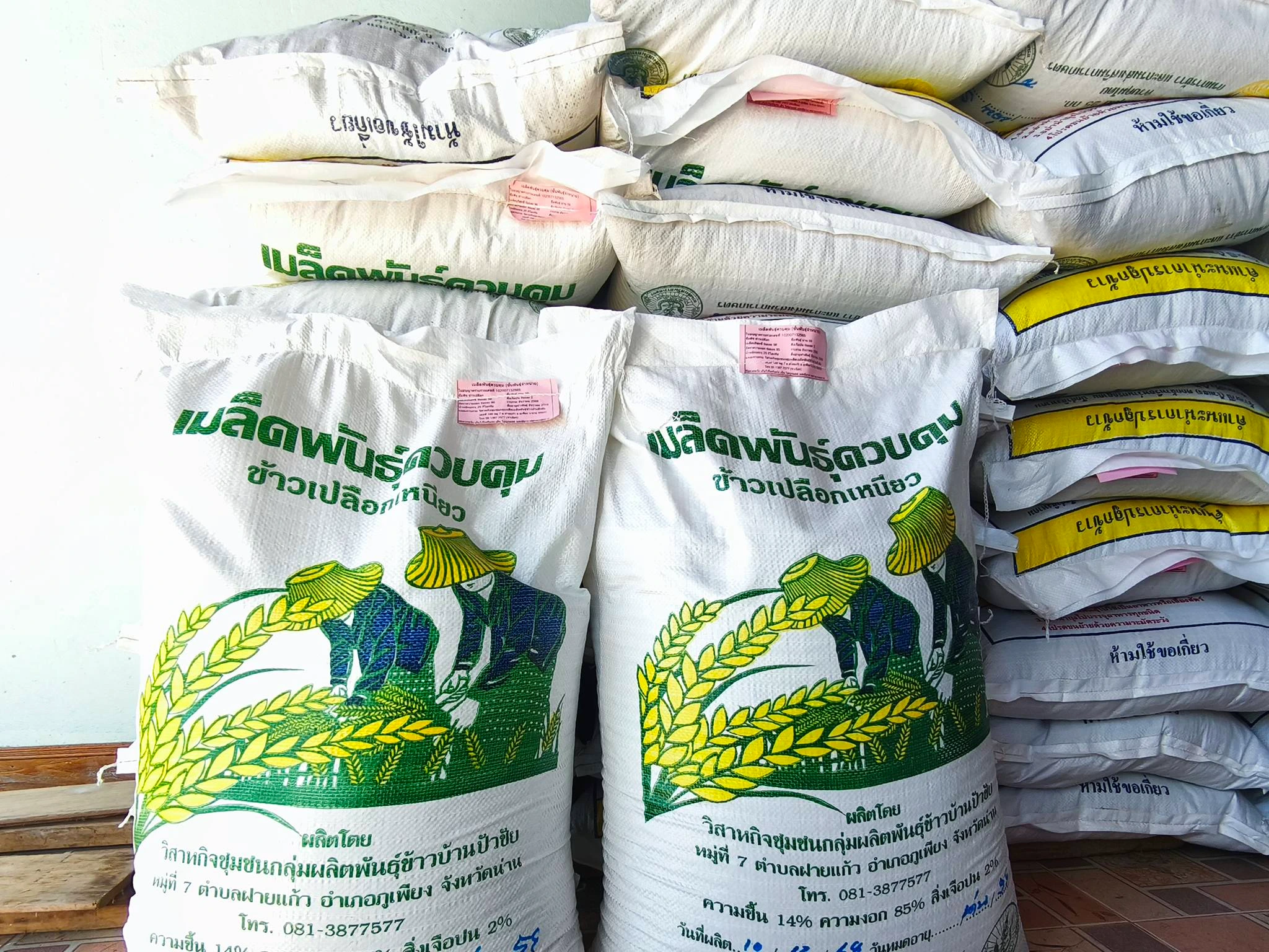 เมล็ดพันธุ์ข้าวน่าน 59 เบอร์ 18 2