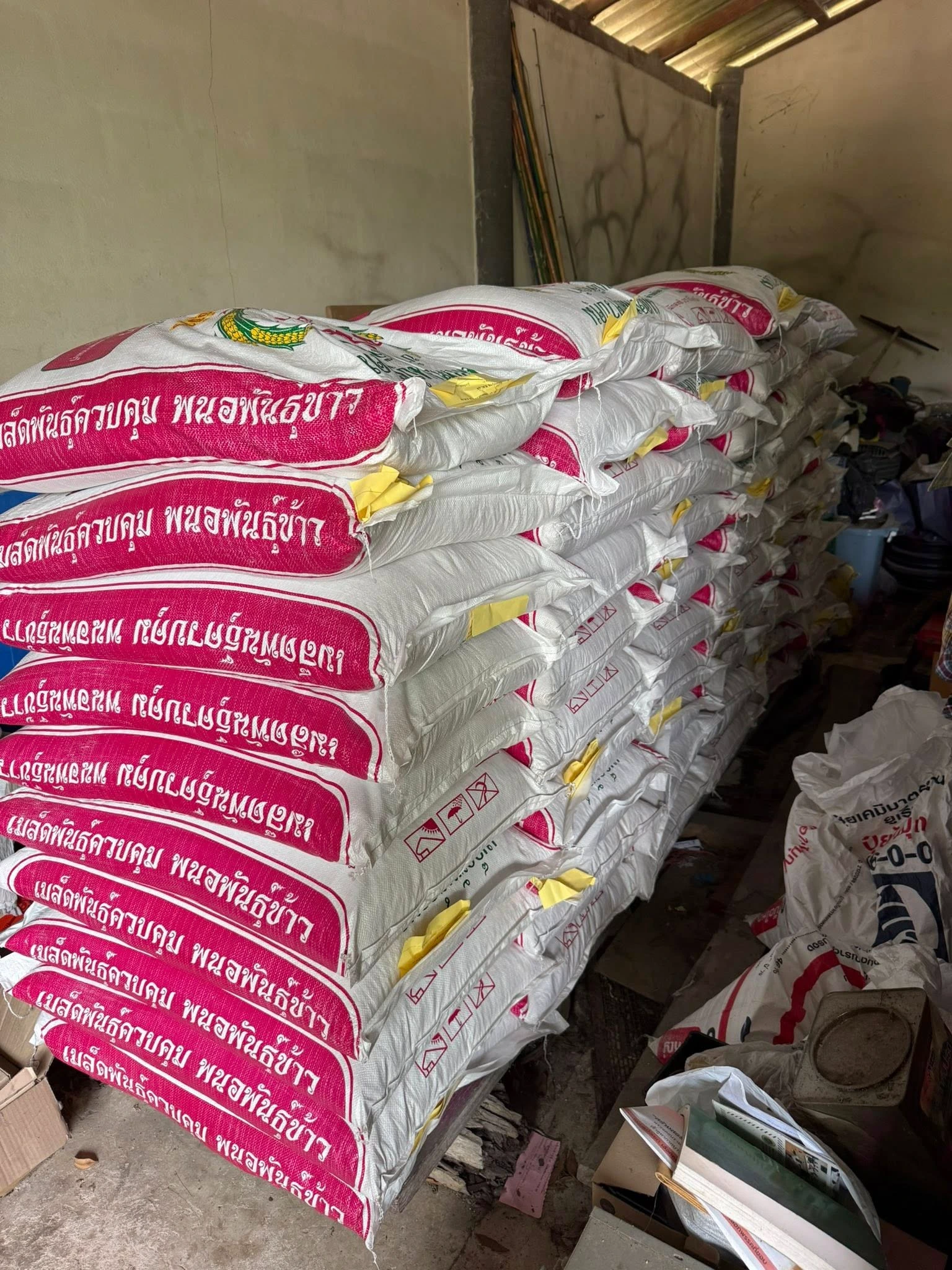 🌾 ข้าวปลูก นาดำ 100% 🌾 4