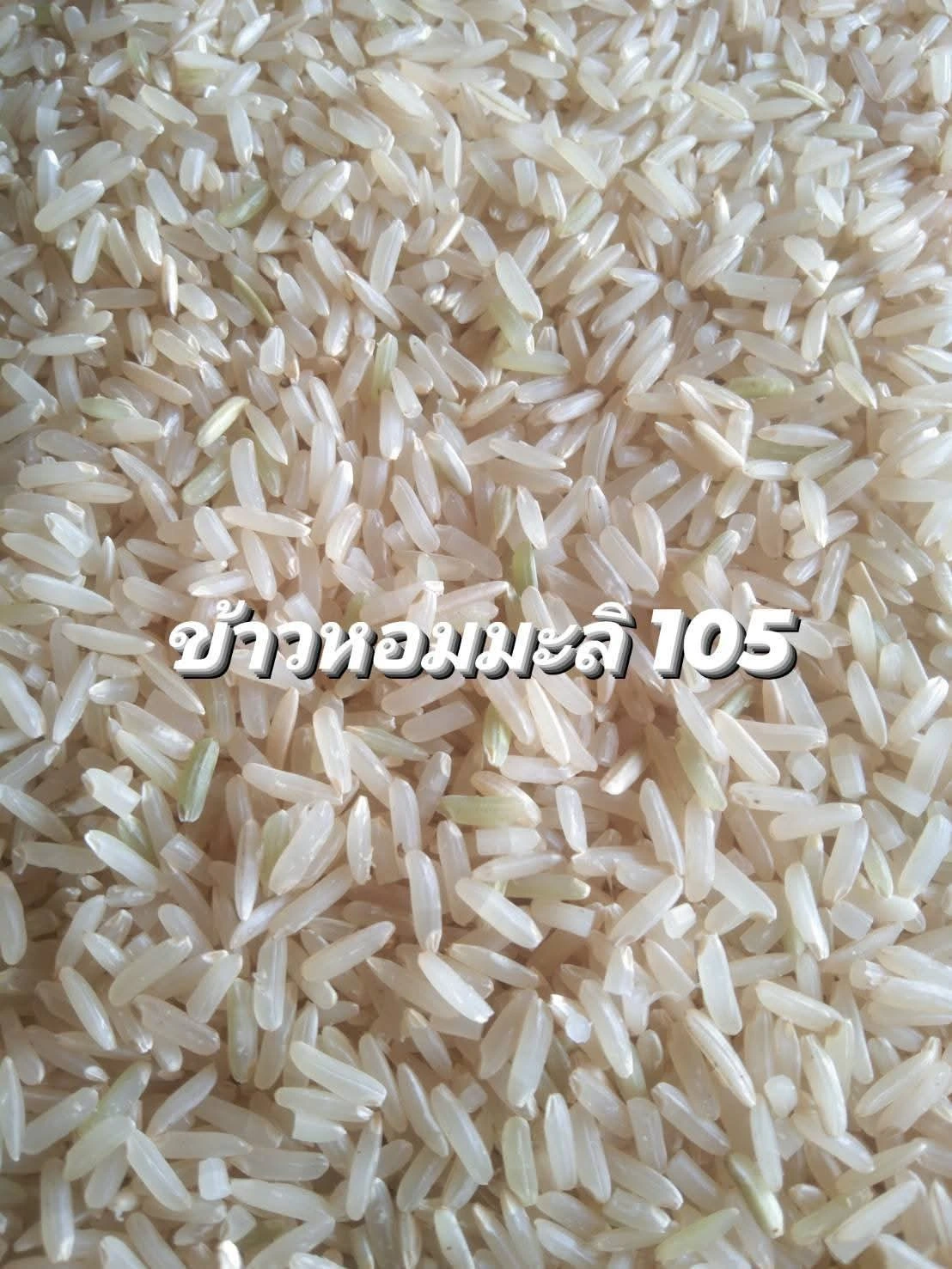 เริ่มต้นฤดูกาลใหม่ด้วยเมล็ดพันธุ์ 2