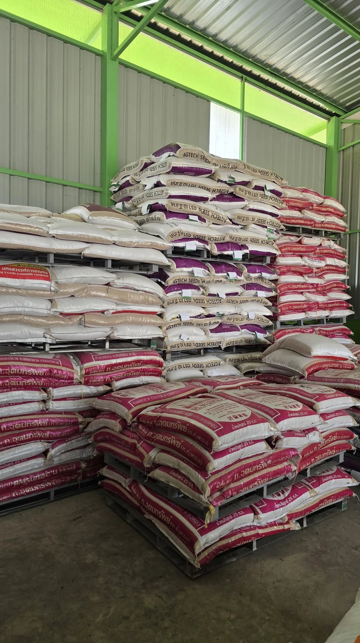 พันธุ์ข้าวพร้อมจำหน่ายเป็นพันธุ์ข้าวนาปรังมี 🌾กข 61 🌾กข 85 🌾กข 41 🌾 กข 57 และข้าวเปลือก