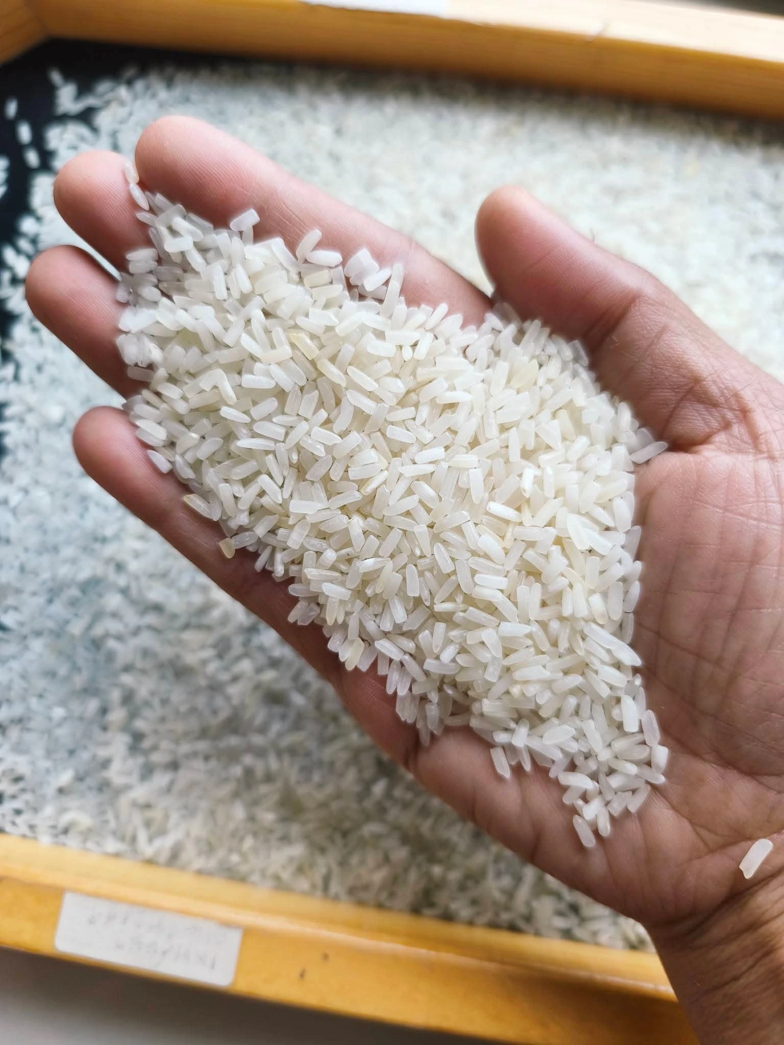 🌾ยี่จ๊อหอมมะลิเก่า 67/68 3