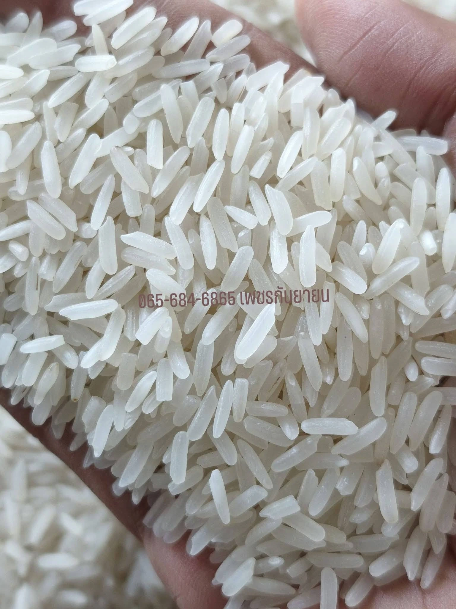 #ข้าวกข79 พื้นนุ่ม
