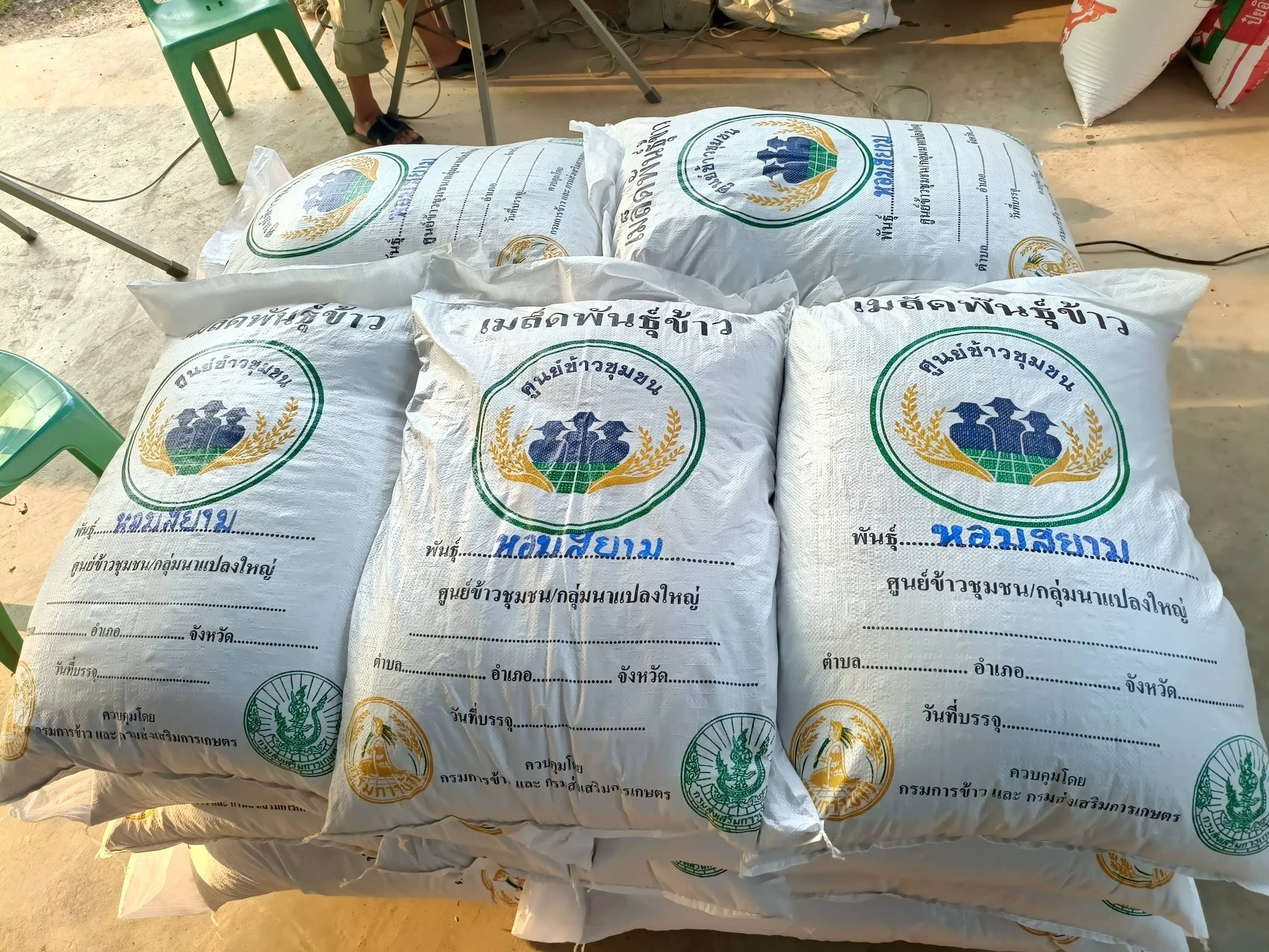 👉💚เมล็ดพันธุ์ข้าว ผลิตจากทุ่งกุลาร้องไห้ 2