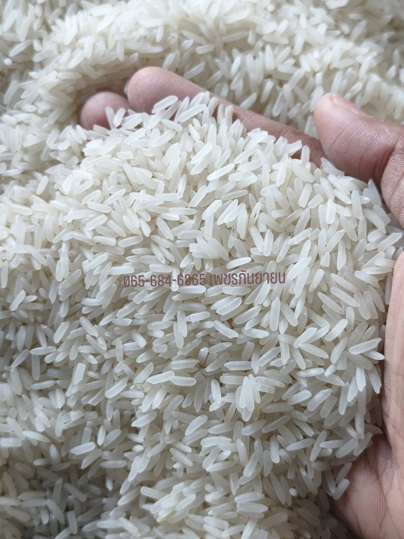 #ข้าวกข79 พื้นนุ่ม 4