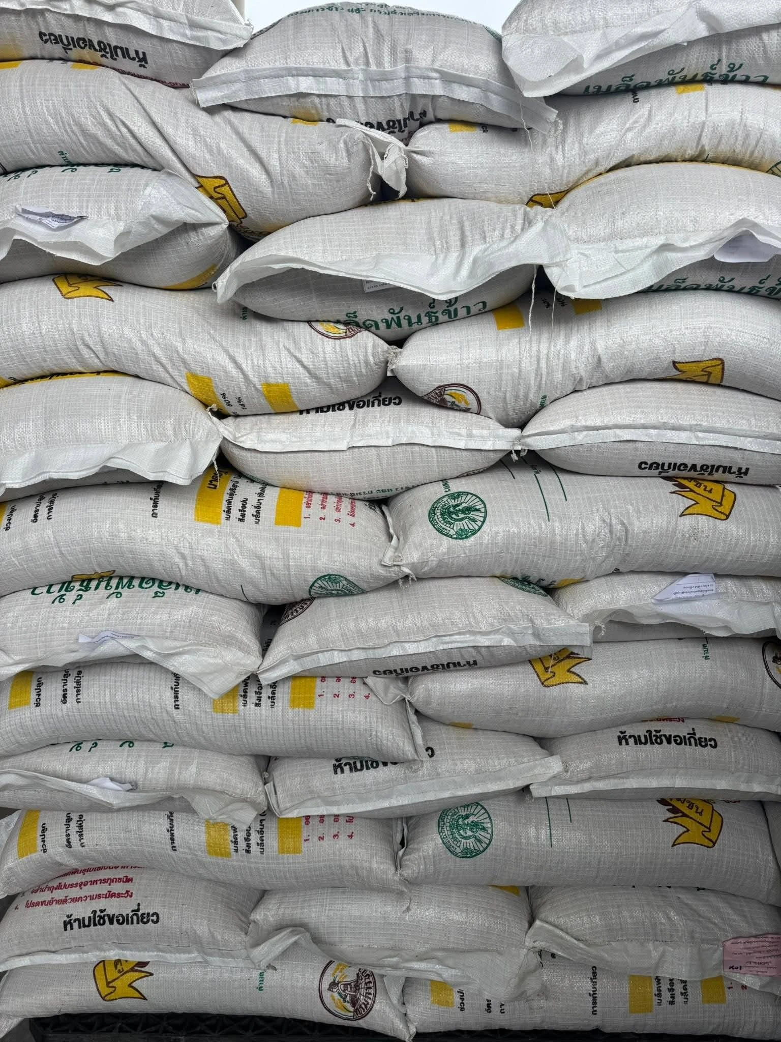 ข้าวพันธุ์มะลิ 105 (จาก  ศรีสะเกษ) 5