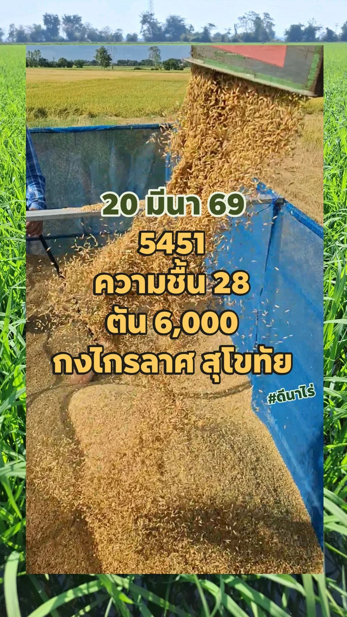 📢ข่าวสารราคาข้าวเปลือกวันนี้
