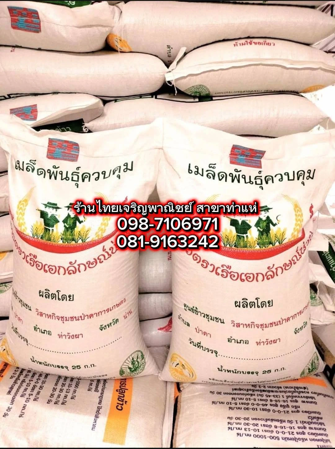 ข้าวเหนียวนาปี น่าน59 เบอร์18 ชั้นพันธุ์ขยาย 🌾📌 5
