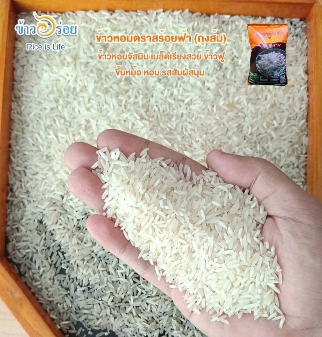 🌾 ข้าวหอมตราสร้อยฟ้า (ถุงส้ม) 3