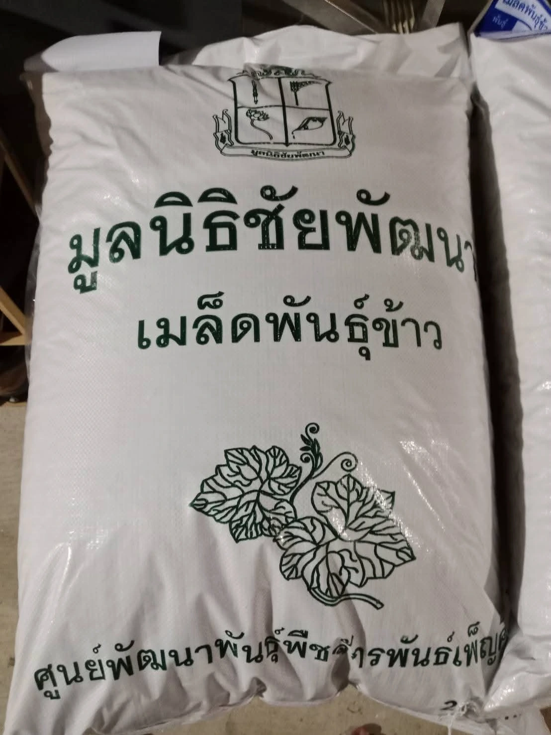 ข้าวพันธุ์ดอกมะลิ 105 3
