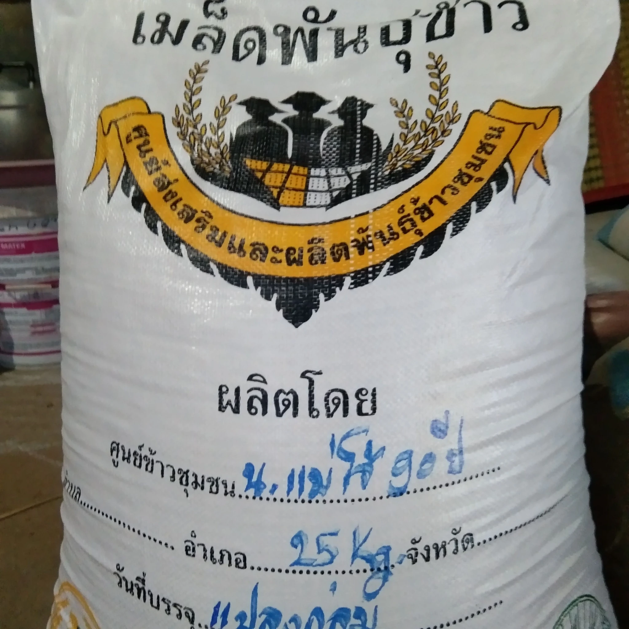 หอมแม่โจ้90ปีข้าวเหนียวไม่ไวต่อช่วงแสง