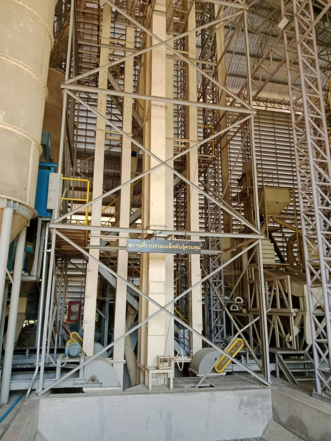 ข้าวพันธุ์ดอกมะลิ 105 4