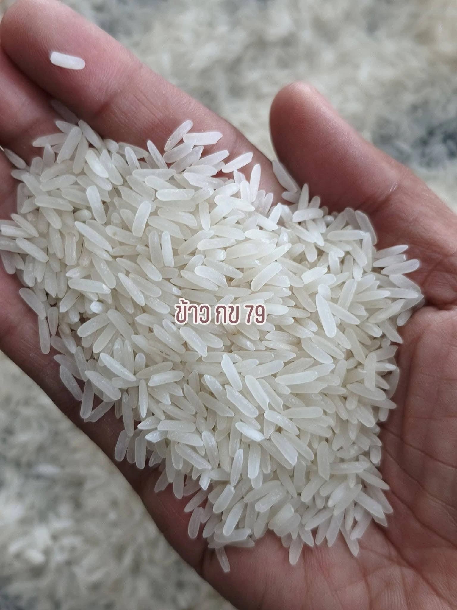 ล๊อตนี้❗❗สวยมาก แจ่ม ใส 4