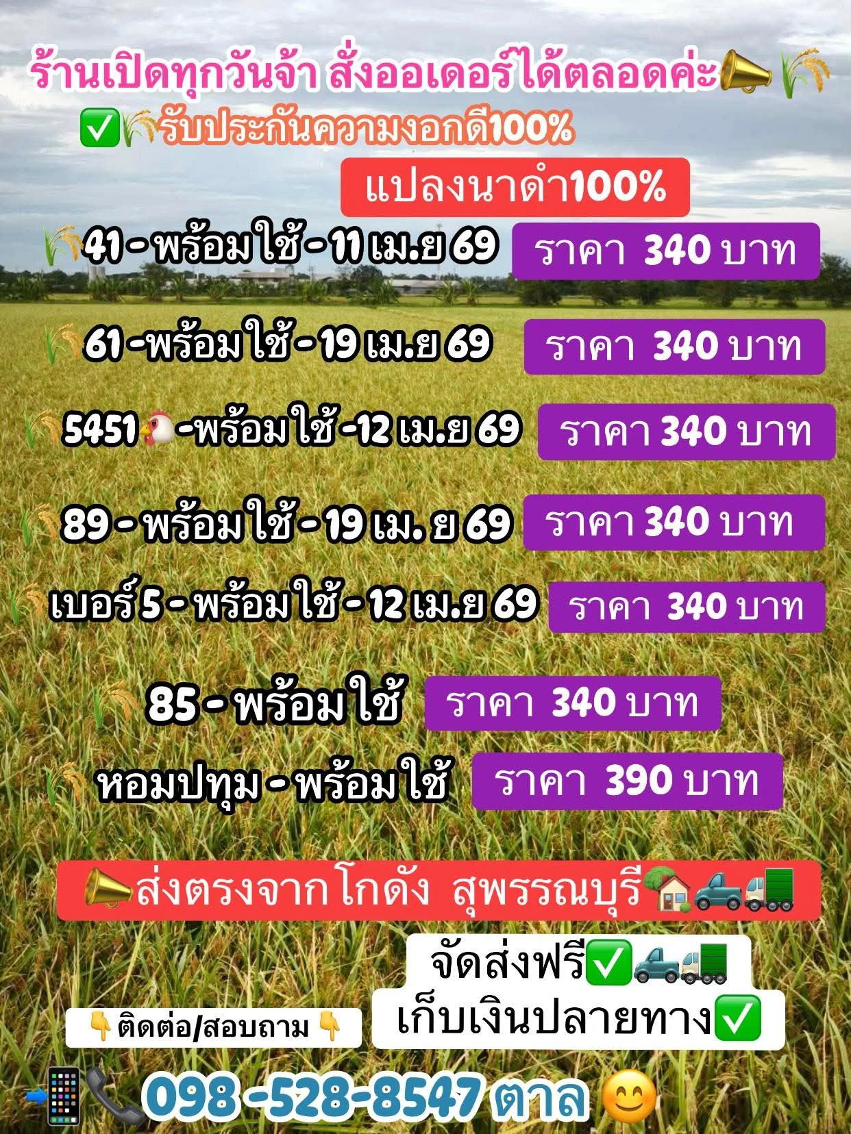 จำหน่ายเมล็ดพันธุ์ข้าว