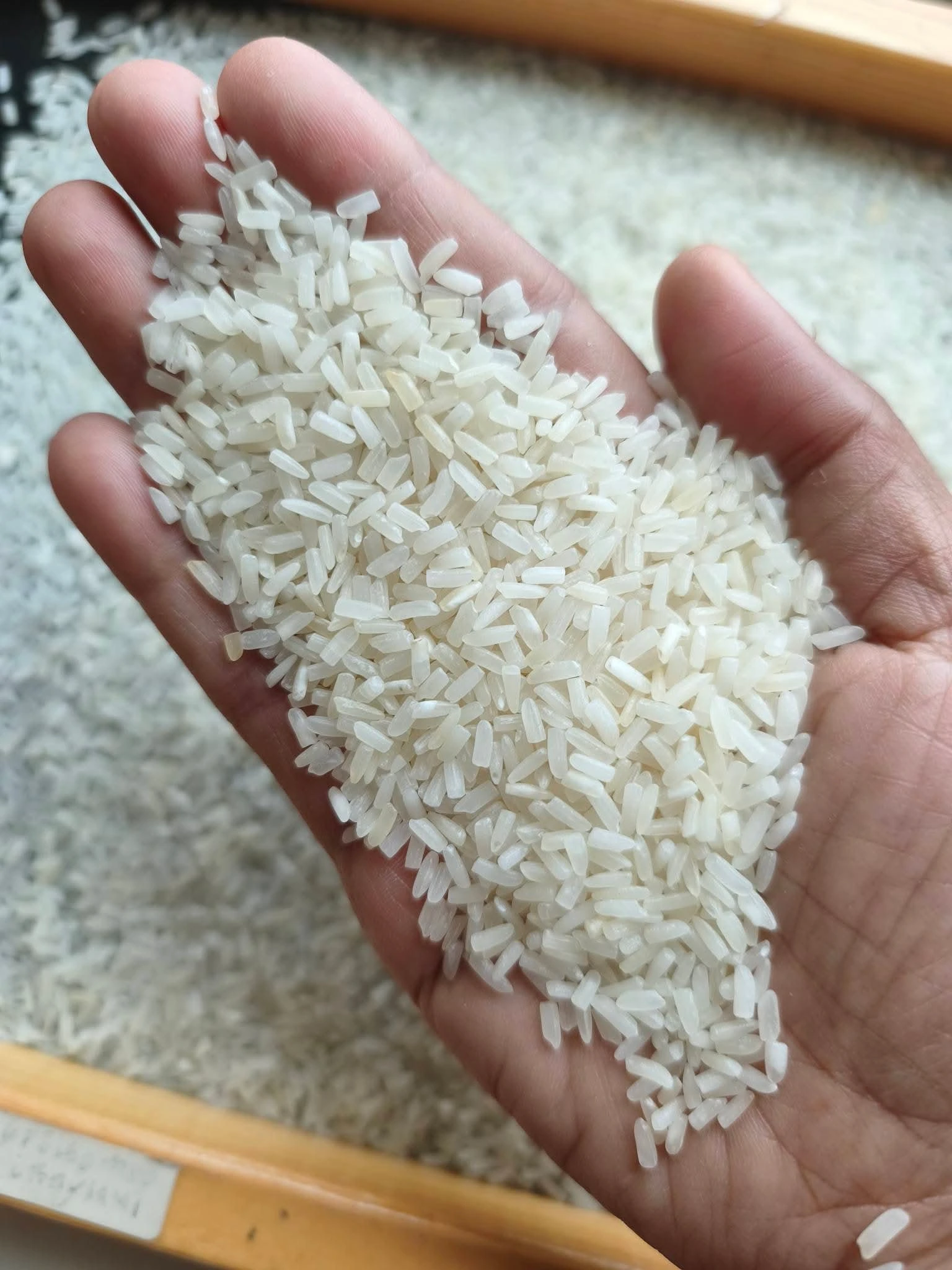 🌾ยี่จ๊อหอมมะลิเก่า 67/68