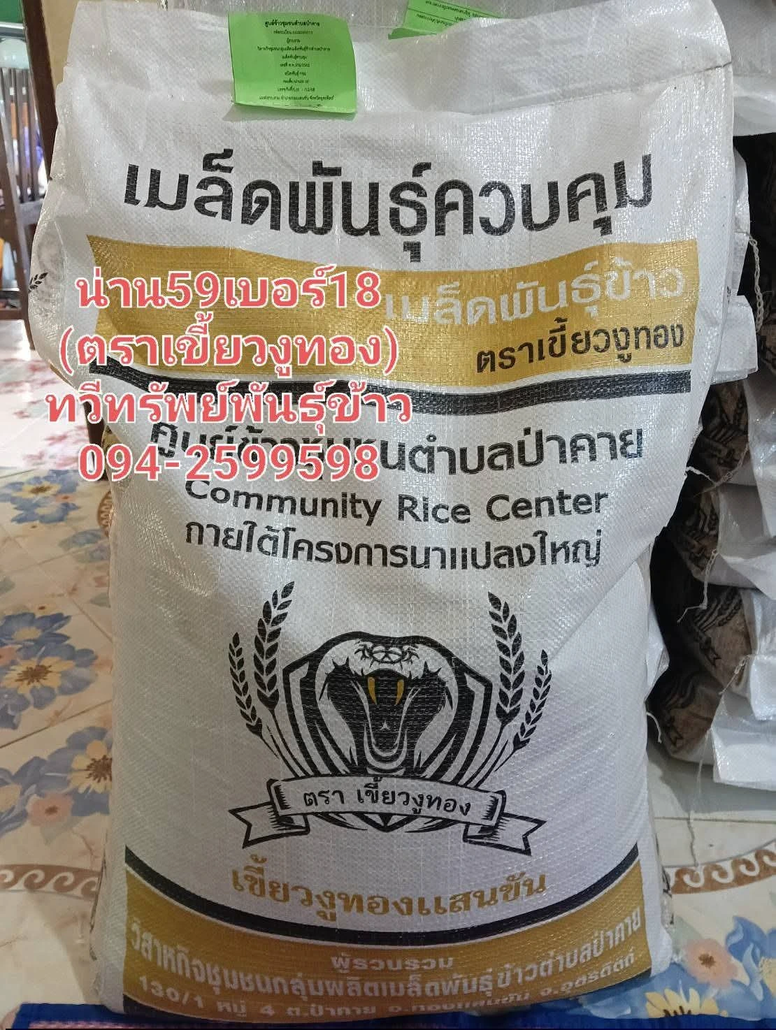 #ข้าวเหนียวต้นเตี้ย 3