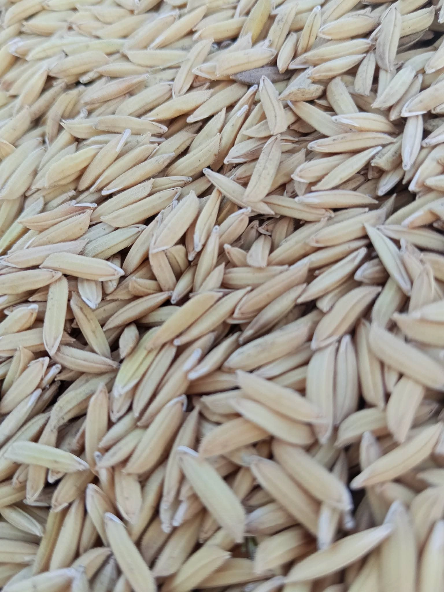 เริ่มต้นฤดูกาลใหม่ด้วยเมล็ดพันธุ์