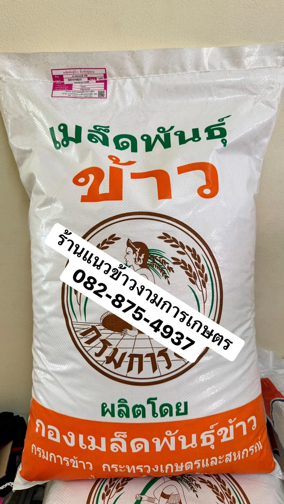 📌พันธุ์ข้าวขาวดอกมะลิ105 2