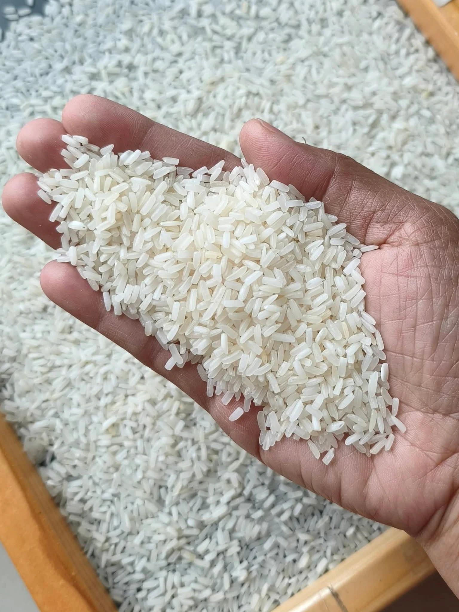 🌾ยี่จ๊อหอมมะลิเก่า 67/68 5