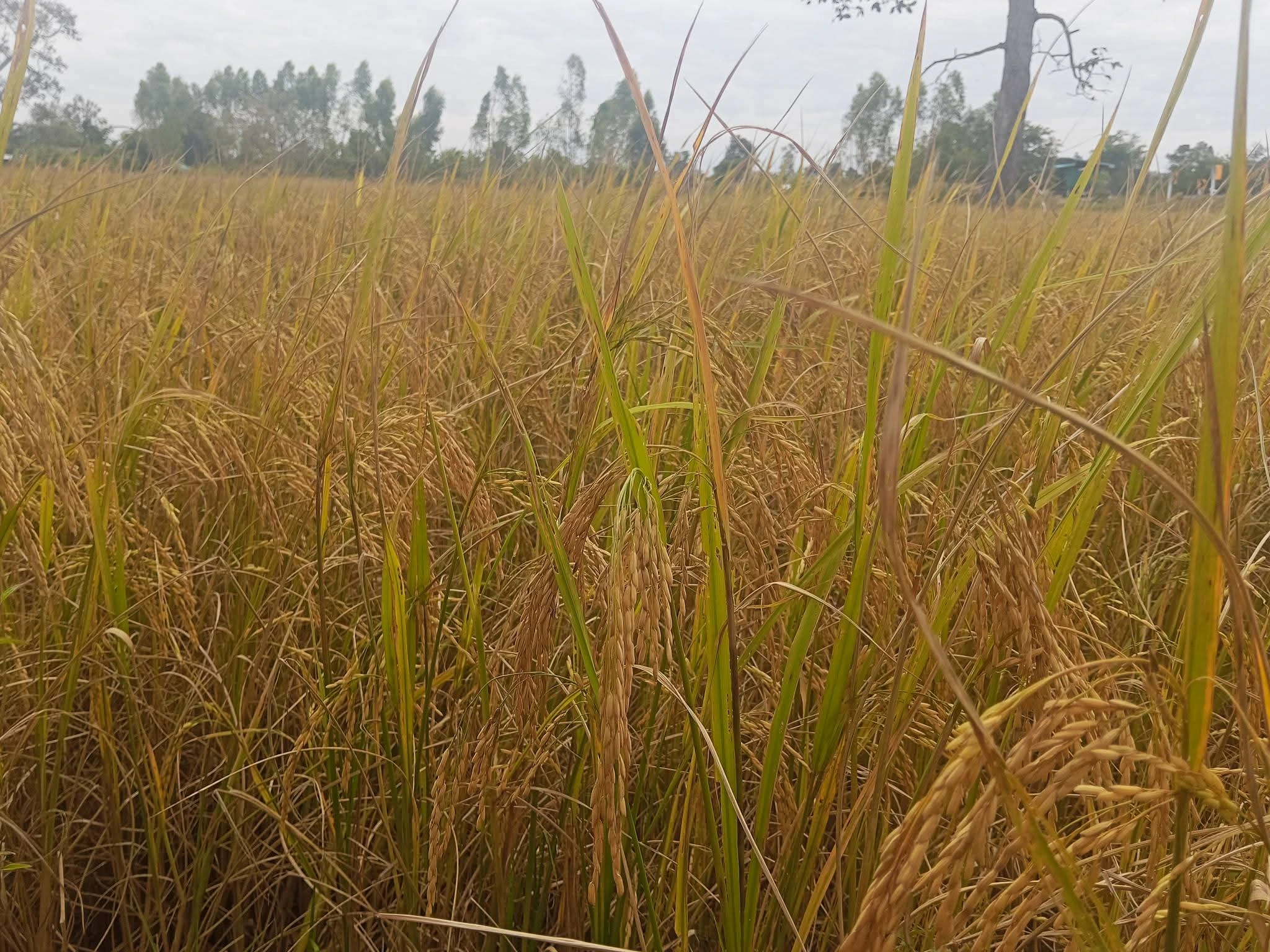 เริ่มต้นฤดูกาลใหม่ด้วยเมล็ดพันธุ์ 3