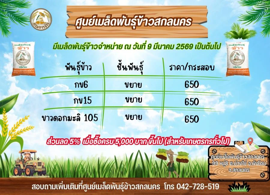 เปิดจำหน่ายเมล็ดพันธุ์ข้าว กข6, กข15, ขาวดอกมะลิ105 🌾