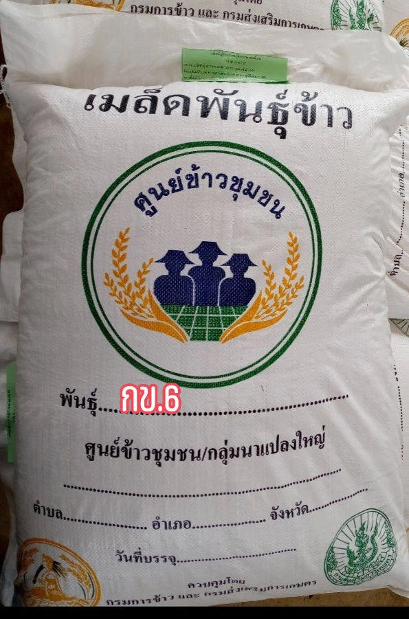 🌾#กข15 (หอมมะลิดอ)ข้าวเจ้านาปี 2