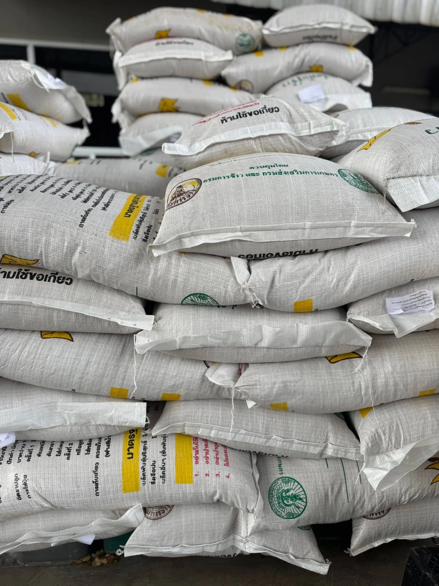 ข้าวพันธุ์มะลิ 105 (จาก  ศรีสะเกษ) 2