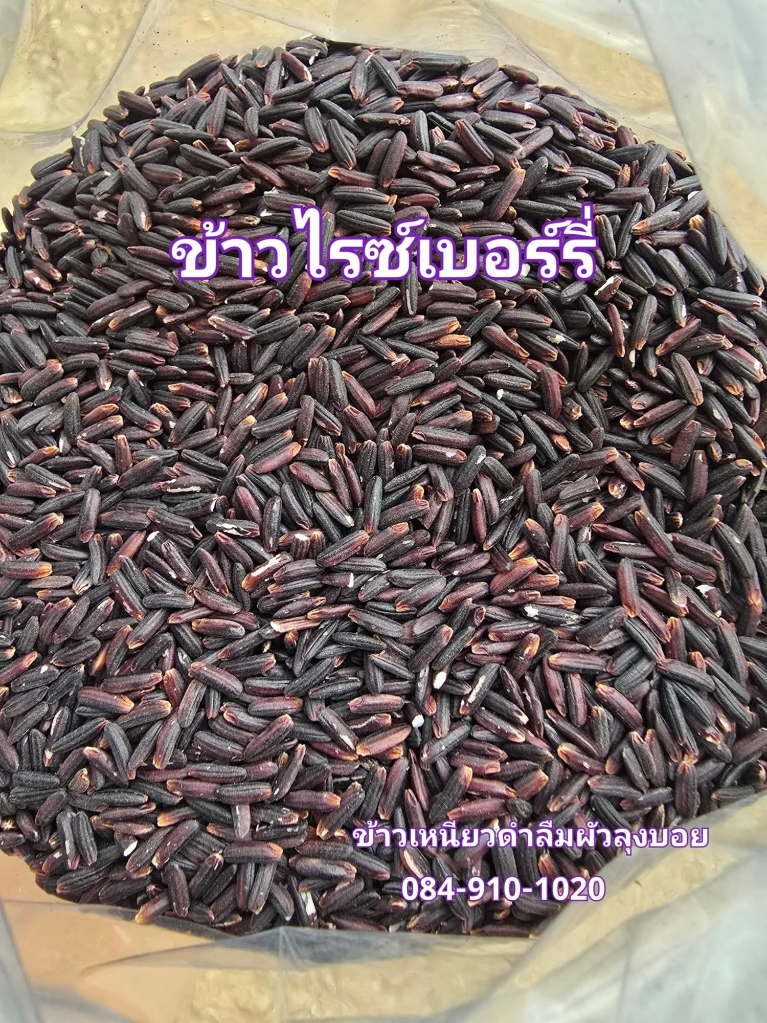 #ข้าวเหนียวดำลืมผัวลุงบอย 4